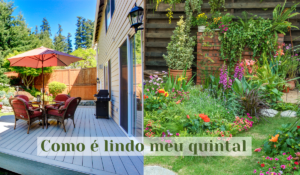 Como manter o quintal de sua casa limpo e livre de insetos